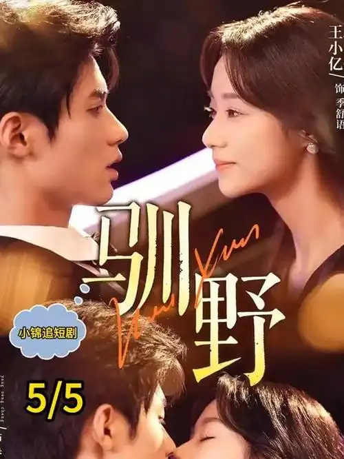 银沙渡 古装电视剧全集免费观看